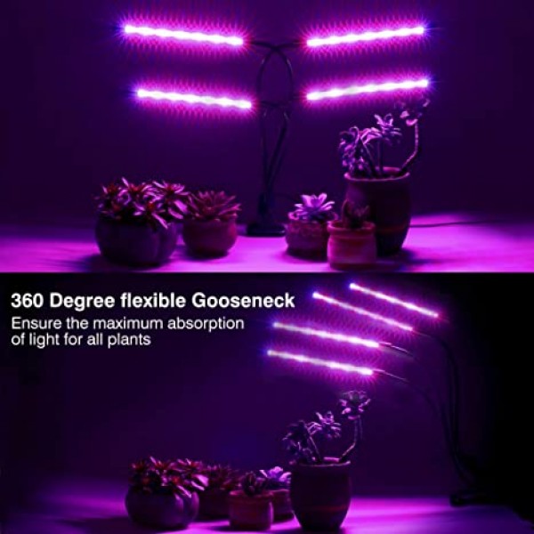 Four tube lights