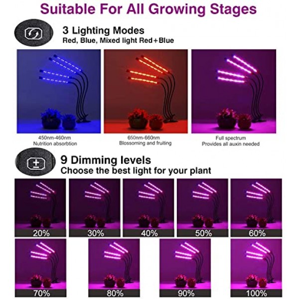 Four tube lights