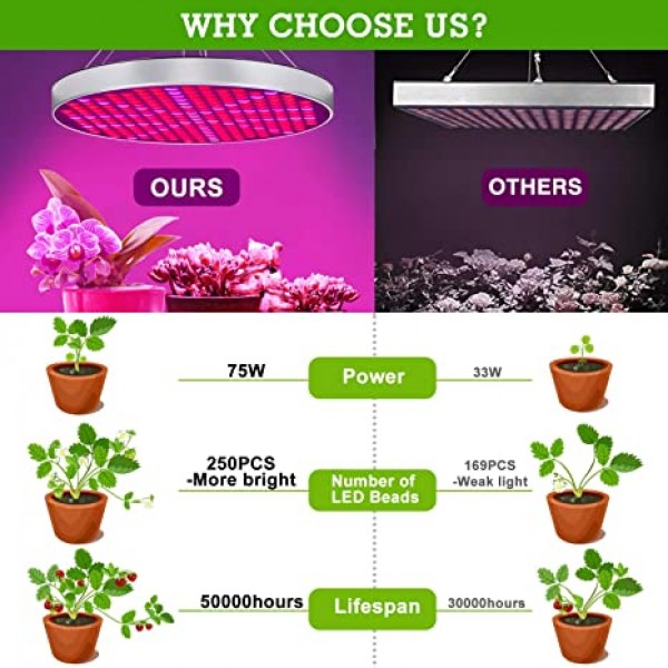 Led Grow Light, Shengsite 75W Plant Grow Lights for Indoor House Plants Full Spectrum Growing Lamp for Hydroponics,Greenhouses,Grow Tent,Plant Factory,Flower&Vegetable